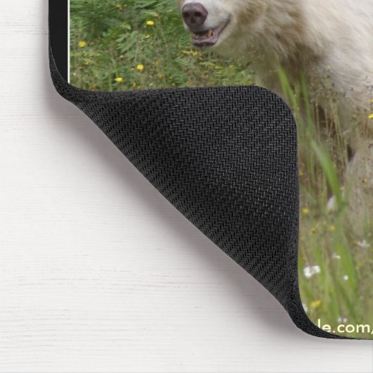 WIT KERMODE (SPIRIT) BEER MUISMAT (Hoek)