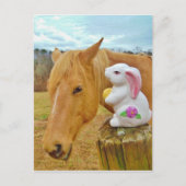Wit konijn en blond geel paard briefkaart (Voorkant)
