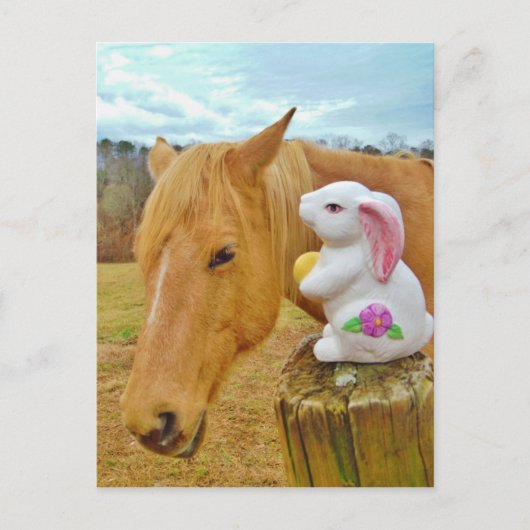 Wit konijn en blond geel paard briefkaart (Voorkant)