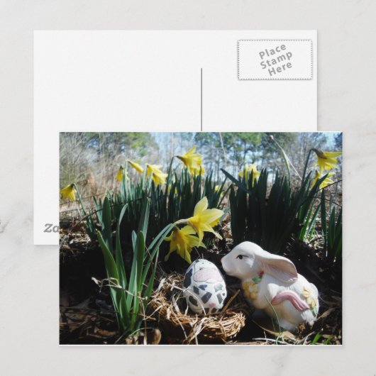 Wit konijn en koe eicel briefkaart (Voorkant / Achterkant)