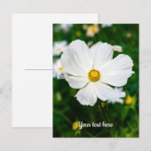 Wit Kosmos Briefkaart (Voorkant / Achterkant)