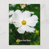 Wit Kosmos Briefkaart (Voorkant)