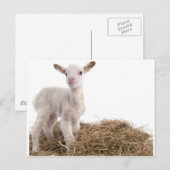 wit lampje briefkaart (Voorkant / Achterkant)