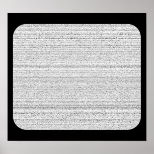 Wit lawaai. Zwarte en witte sneeuwgrijs. Poster