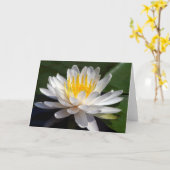 Wit Leeg Wenskaart Waterlily Kaart (Gele Bloem)