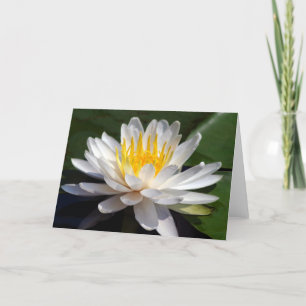 Wit Leeg Wenskaart Waterlily Kaart