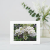 Wit Lila Briefkaart (Staand voorkant)