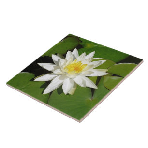 Wit Lotus Tegeltje