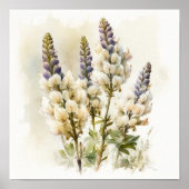 Wit Lupine Bloem Art Print Poster (Voorkant)