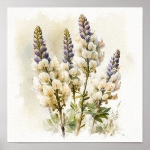 Wit Lupine Bloem Art Print Poster