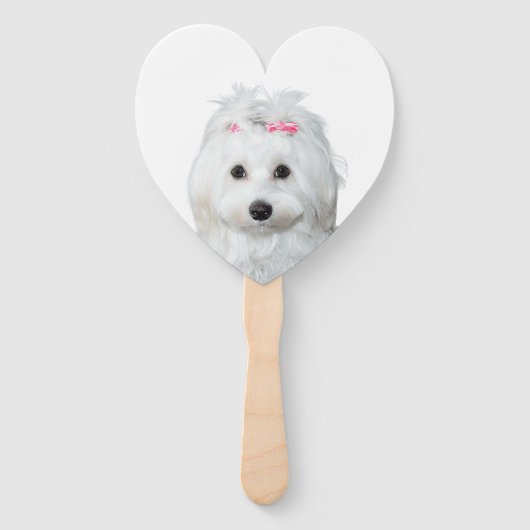 Wit Maltees Gevoelig Sweetness Label Handwaaier (Voorkant)