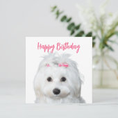 Wit Maltees Gevoelige zoetheid Feestdagenkaart (Staand voorkant)