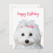 Wit Maltees Gevoelige zoetheid Feestdagenkaart (Voorkant / Achterkant)