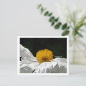 Wit met geel briefkaart (Staand voorkant)