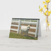 Wit miniatuur wenskaart kaart (Gele Bloem)