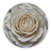 Wit nat roos close-up ontwerp keramische knop (Voorkant)