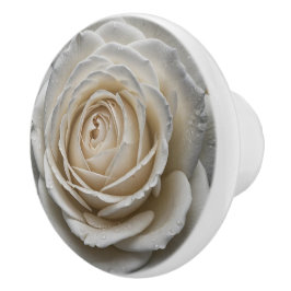 Wit nat roos close-up ontwerp keramische knop