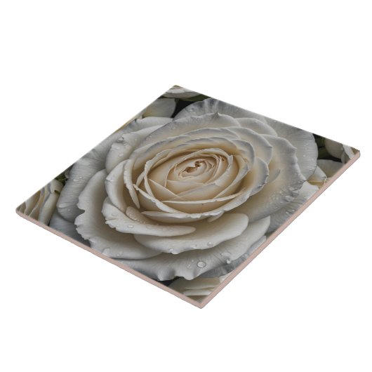 Wit nat roos close-up ontwerp tegeltje (Zijkant)