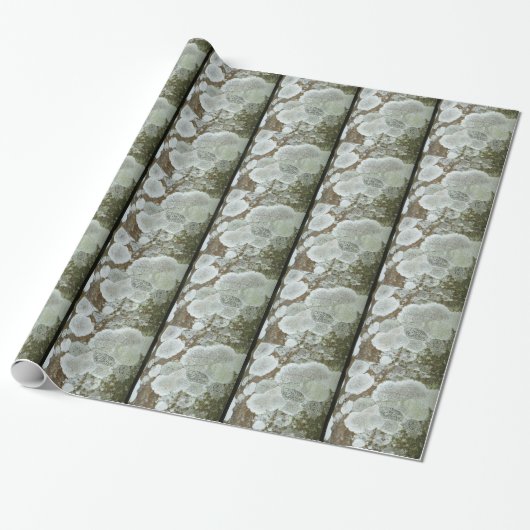 Wit natuurlijk patroon cadeaupapier (Uitgerold)