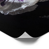 Wit Oosters Poppy Flowers Art Print Poster (Hoek)