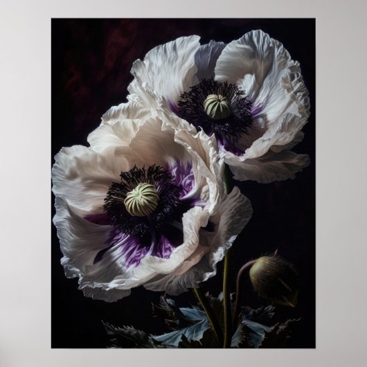 Wit Oosters Poppy Flowers Art Print Poster (Voorkant)