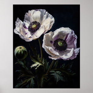 Wit Oosters Poppy Flowers Art Print Poster