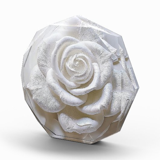 Wit op wit - gebeeldhouwd Roos Fotoblokken (Rechts)