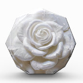 Wit op wit - gebeeldhouwd Roos Fotoblokken (Voorkant)