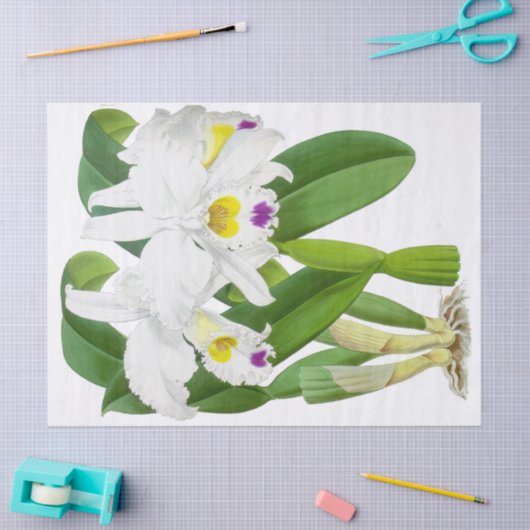  wit orchidee bloemenpapier tissuepapier (Craft)