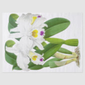  wit orchidee bloemenpapier tissuepapier (Voorkant)
