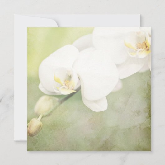  Wit-orchidee bruiloft Uitnodigingen (Achterkant)