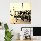 Wit Paard 1975 Tour de France Kleur Redux Poster (Thuiskantoor)