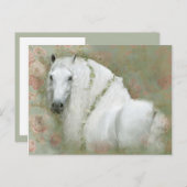 Wit Paard - Ansichtkaart Briefkaart (Voorkant / Achterkant)