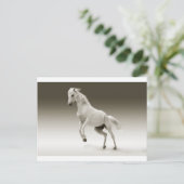 wit paard briefkaart (Staand voorkant)