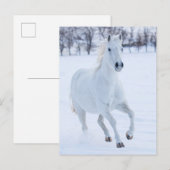 Wit paard dat in de sneeuw loopt briefkaart (Voorkant / Achterkant)
