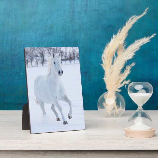 Wit paard dat in de sneeuw loopt fotoplaat (Zijkant)