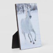 Wit paard dat in de sneeuw loopt fotoplaat (Zijkant)