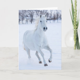 Wit paard dat in de sneeuw loopt kaart