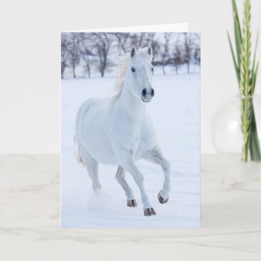 Wit paard dat in de sneeuw loopt kaart (Voorkant)