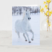Wit paard dat in de sneeuw loopt kaart (Gele Bloem)