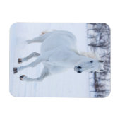 Wit paard dat in de sneeuw loopt magneet (Horizontaal)