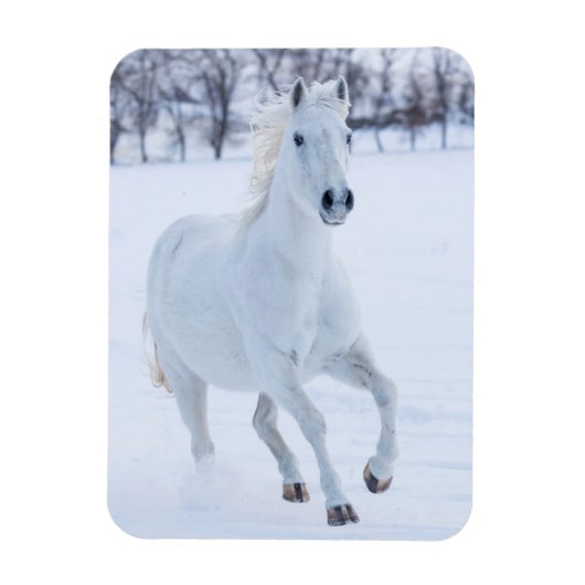 Wit paard dat in de sneeuw loopt magneet (Verticaal)