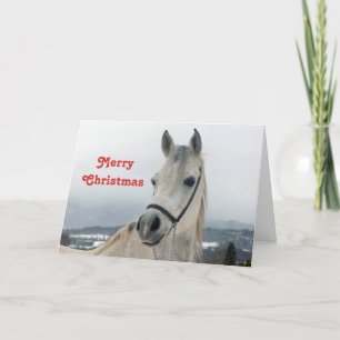 wit paard foto kerst feestdagen kaart