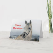  wit paard foto kerst feestdagen kaart (Voorkant)