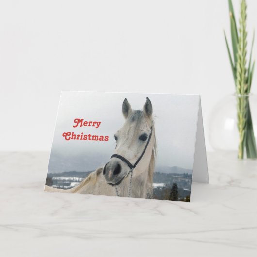  wit paard foto kerst feestdagen kaart (Voorkant)