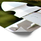 Wit Paard Foto Poster (Hoek)