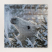 Wit Paard In Besneeuwde Dennenboom Legpuzzel (Horizontaal)