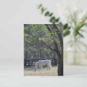 Wit Paard in bomen Briefkaart (Staand voorkant)
