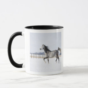 wit paard in de winter mok