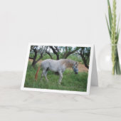 Wit Paard in Grasveld Kaart (Voorkant)